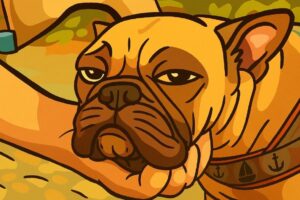 Cortison beim Hund